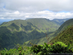 Hawaii Kauai – Alaka’i Swamp Hike – Kilohana Lookout