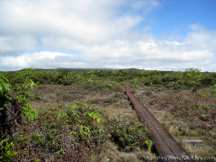 Hawaii Kauai – Alakai Swamp Trail Boardwalk