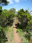 Hawaii Kauai – Kilohana Lookout Hike Boardwalk