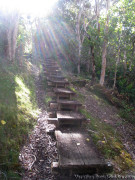 Hawaii Kauai – Pihea Alaka’i Swamp Boardwalk Stairs