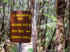 Hawaii Kauai – Pihea – Alakai Swamp Trail Intersection Sign