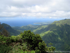 Hawaii Kauai – Pihea – Alaka’i Swamp Trail – Kilohana Lookout Hike