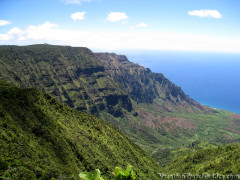 Hawaii Kauai – Pihea – Alaka’i Swamp Trail Lookout