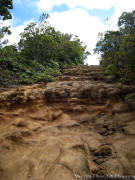 Hawaii Kauai – Pihea – Alakai Swamp Trail Terrain