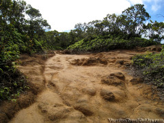 Hawaii Kauai – Pihea Hike Scenery