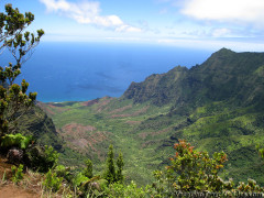 Hawaii Kauai – Pihea Hike