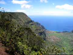 Hawaii Kauai – Pihea Kalalau Valley