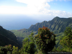 Hawaii Kauai – Pihea Trail View