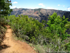 Canyon Trail