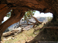 Kauai - Waimea Canyon Trail Hike