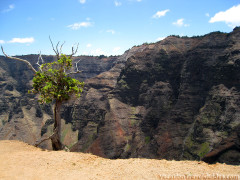 Kauai Hawaii - Waimea Canyon Trail Cliff