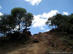 Waimea Canyon Trail - Waipo'o Falls Climb